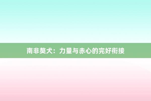 南非獒犬:力量与赤心的完好衔接