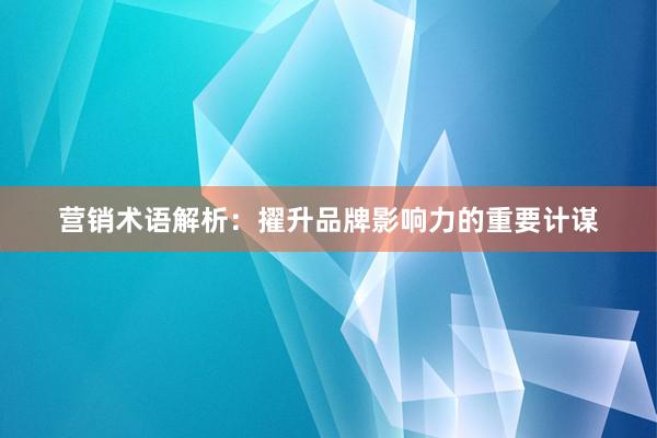 营销术语解析:擢升品牌影响力的重要计谋